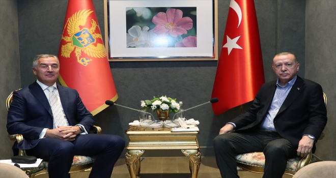Cumhurbaşkanı Erdoğan, Karadağ Cumhurbaşkanı Cukanoviç'le görüştü
