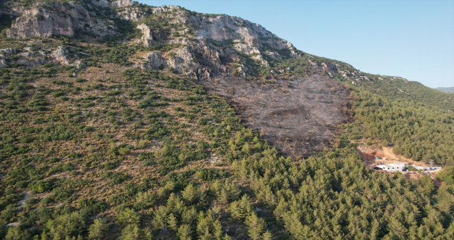 Antalya'nın Kaş ilçesinde çıkan orman yangınları kontrol altına alındı