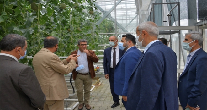 KAEÜ'nün tarım ve jeotermal alanındaki projeleri yatırımcılara anlatıldı