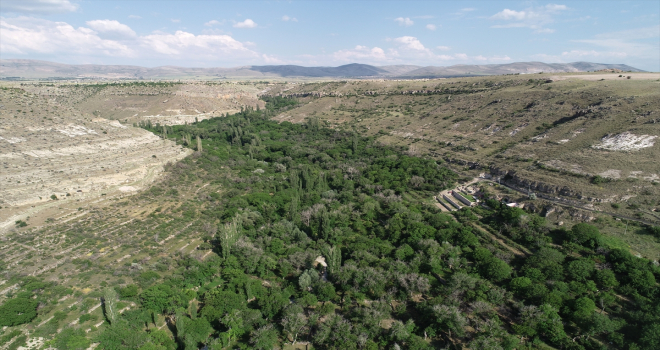 Kayseri tarihi ve doğal güzellikleriyle turizmden hak ettiği payı almayı hedefliyor