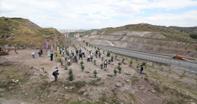 Melikgazi'de 250 tür ağaç dikildi 