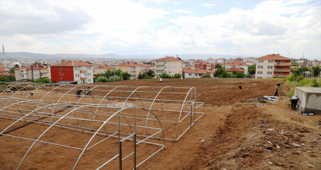 Öğretmen ve öğrenciler okul bahçesinde sebze üretmeye başladı 