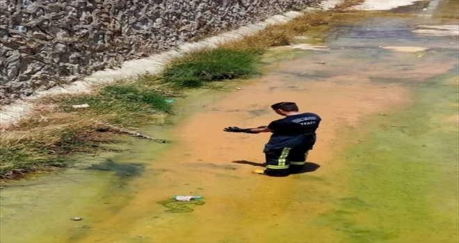 Serik'te su kanalına düşen kediyi itfaiye kurtardı
