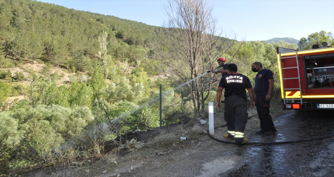 Akşehir'de piknik alanında ot yangını