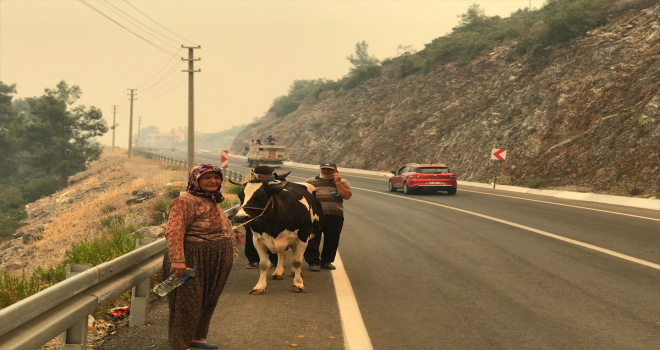 Alanya'daki yangına havadan ve karadan müdahale ediliyor