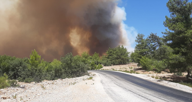 Antalya'da çıkan orman yangınına hava ve karadan müdahale ediliyor