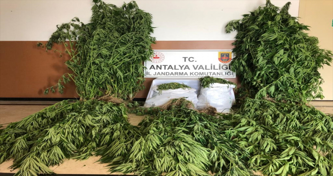 Antalya'daki uyuşturucu operasyonlarında 2 kişi yakalandı