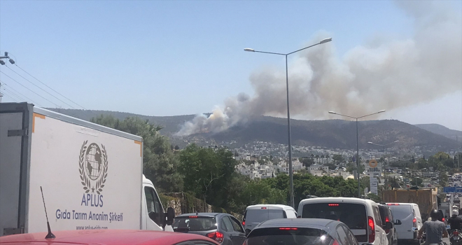 Bodrum'da makilik ve ormanlık alanda çıkan yangına müdahale ediliyor