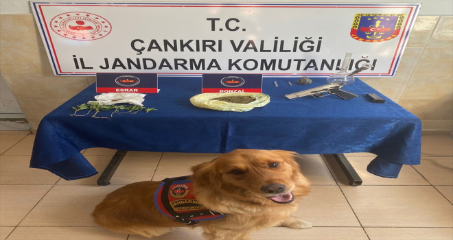 Çankırı'da uyuşturucu operasyonunda 2 kişi yakalandı