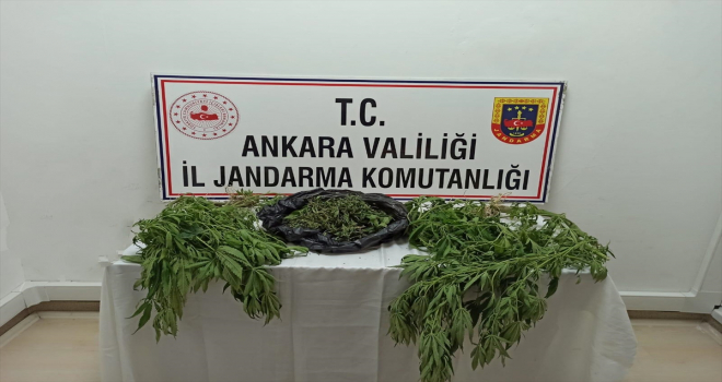 Başkentte jandarma ekiplerince düzenlenen uyuşturucu operasyonlarında 2 kişi yakalandı