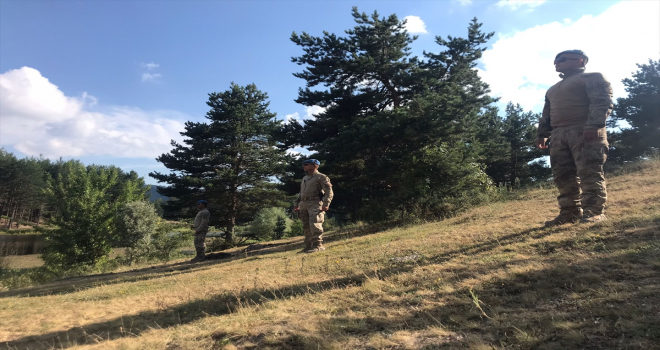 Başkentte ormanlar jandarmaya emanet 