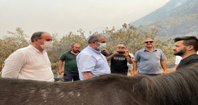 BBP Genel Başkanı Destici'den orman yangınlarına ilişkin açıklama: