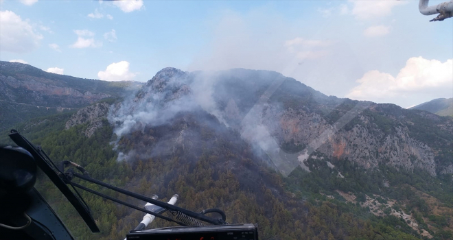 Antalya'da çıkan orman yangını kısmen kontrol altına alındı