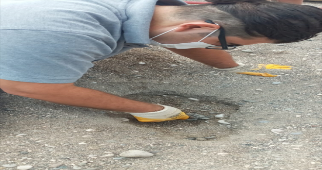 Antalya'da caretta caretta yavruları denizle buluştu