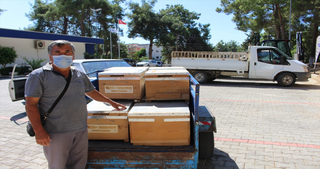 Antalya'da yangından zarar gören bal üreticilerine kovan yardımı
