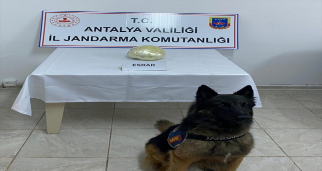 Antalya'da yolcu otobüsünde esrar ele geçirildi