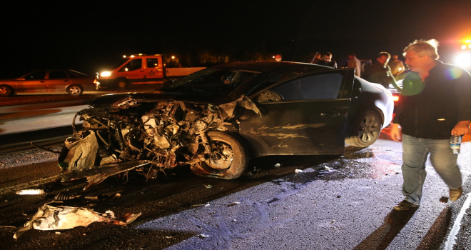 Sivas'ta domuz sürüsünün neden olduğu trafik kazasında 6 kişi yaralandı