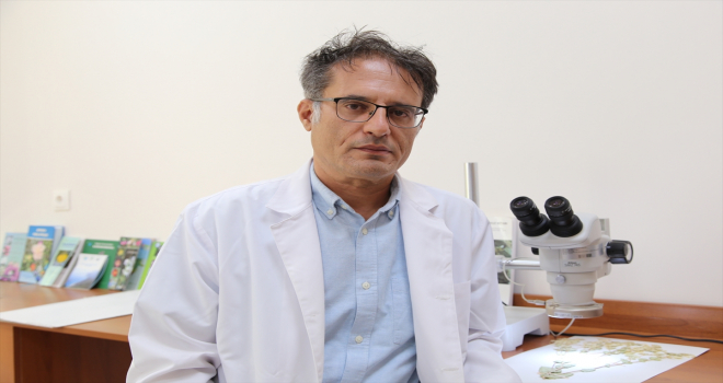 Sivas'ta yeni endemik bitki türü keşfedildi