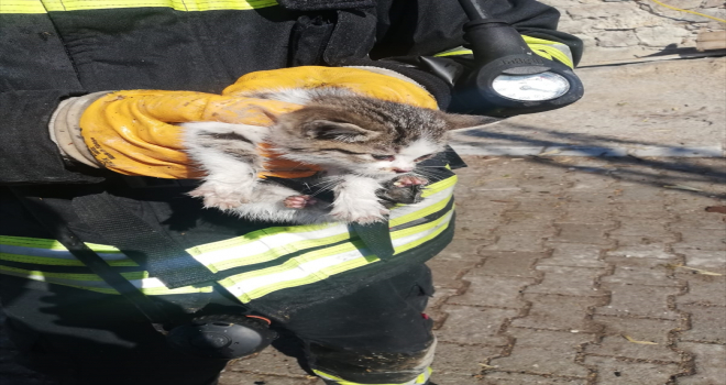 Konya'da çıkan yangında kedi yavrusunu itfaiyenin dikkati kurtardı