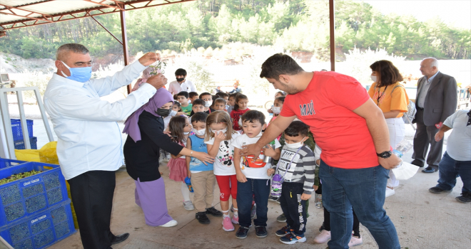 Kumluca'da anaokulu öğrencileri zeytinyağı fabrikasını inceledi