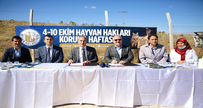 Sivas'ta barınaktan sahiplenilen hayvanların aşı ve bakımları ücretsiz yapılacak