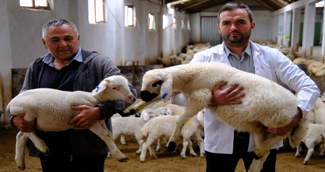 Sivas'ta bilimsel çalışmalarla 