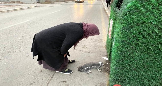 Aksaray'da otomobilin çarptığı kedisinin öldüğünü gören kadın gözyaşı döktü