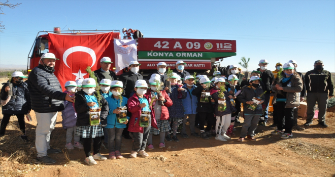 Akşehir'de bin 800 fiidan toprakla buluştu