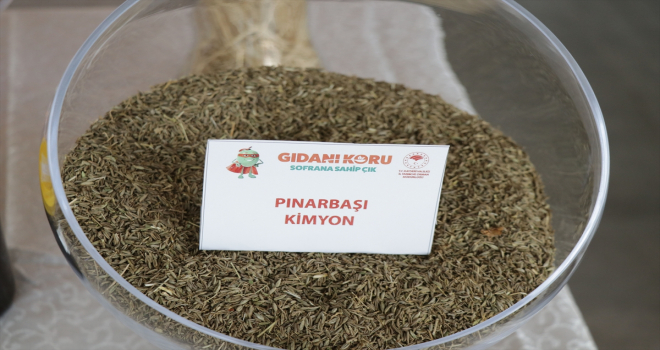Kayseri'de tarım ve hayvancılık fuarı açıldı 