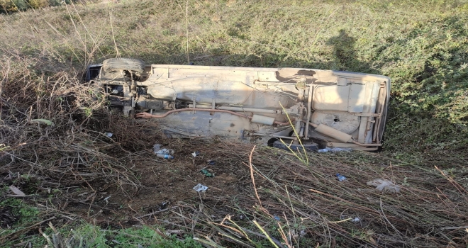 Alanya'da köpeğe çarparak devrilen otomobilin sürücüsü yaralandı
