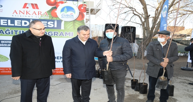 Ankara'da 320 çiftçiye vişne fidanı dağıtıldı