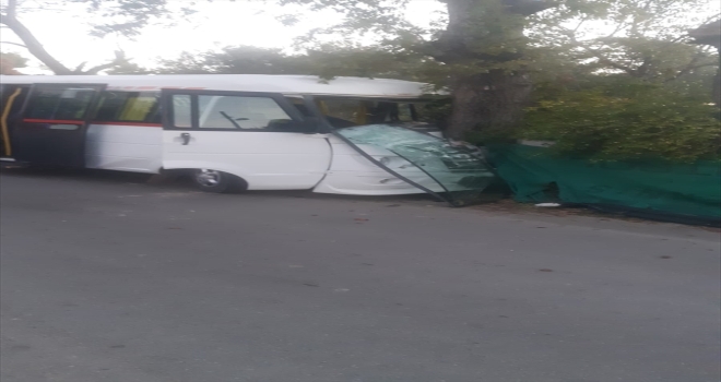 Antalya'da ağaca çarpan okul servis minibüsündeki 8 kişi yaralandı