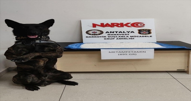 Antalya'da narkotik arama köpeği 