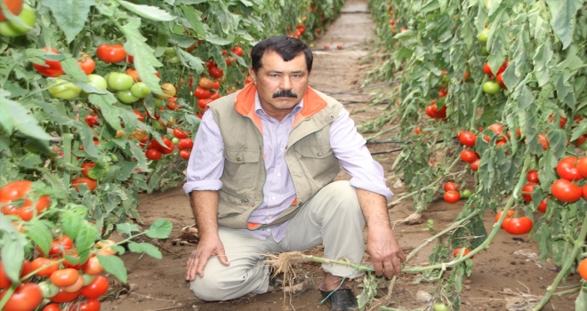 Antalya'daki su taşkınlarında 96 üreticinin arazisinde hasar tespiti yapıldı