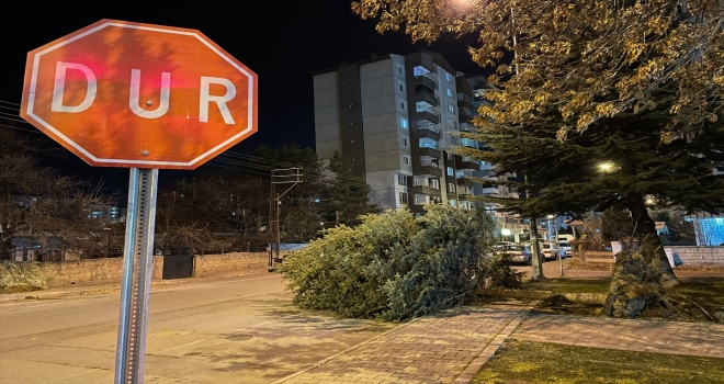 Kayseri'de şiddetli rüzgar etkili oldu