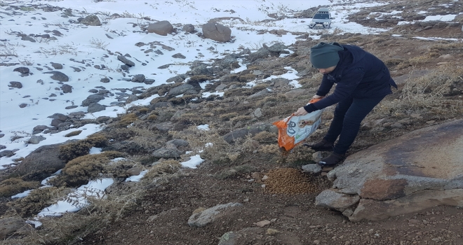 Niğde'de off-road tutkunları yaban hayvanları için doğaya yem bıraktı