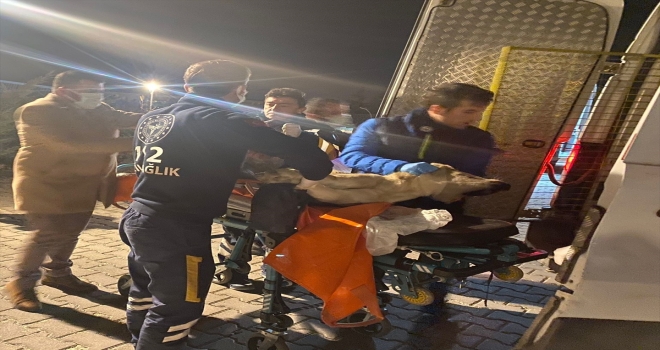 Eskişehir'de sağlık ekibi yolda yaralı bulduğu köpeği ambulansla veteriner hekime götürdü