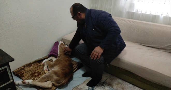 Annesi öldüğü için 