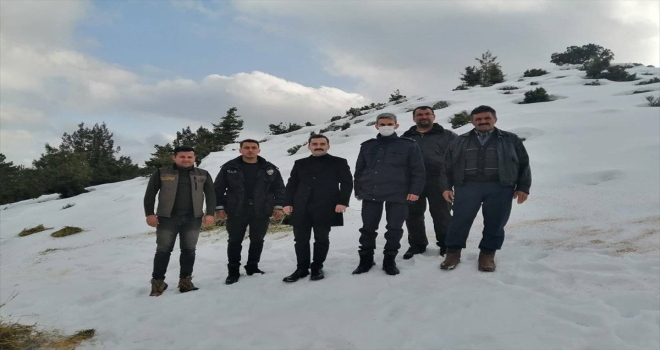 İbradı'da yaban hayvanları için doğaya yem bırakıldı