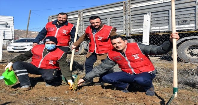 Kırıkkale'de 112 fidan 112 saniyede toprakla buluşturuldu