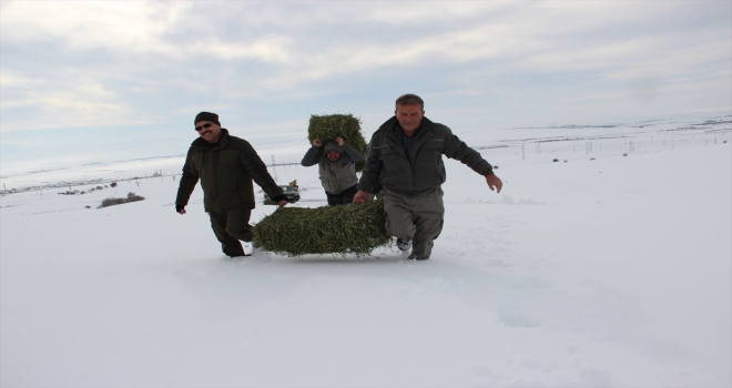 Kırşehir'de yaban hayvanları için doğaya yiyecek bırakıldı