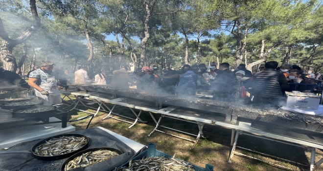 Antalya'daki hamsi şenliğinde 2 ton hamsi tüketildi