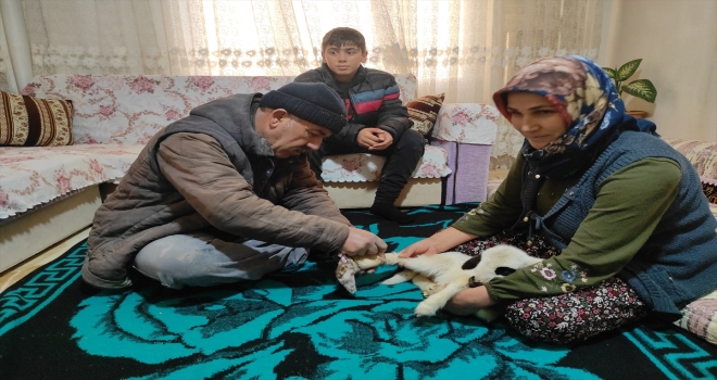Bacağı kırılan 