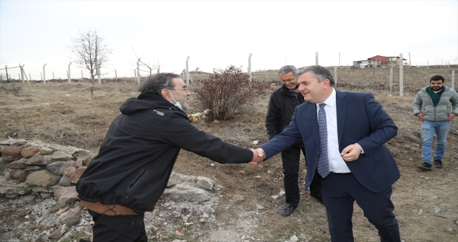 Çubuk Belediye Başkanı Demirbaş, seralarda incelemelerde bulundu