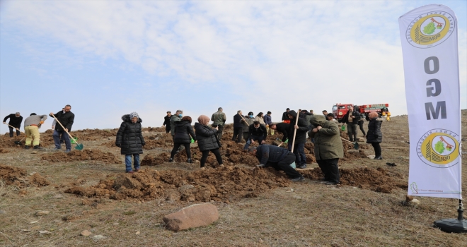 Çubuk’ta adliye personeli fidan dikti