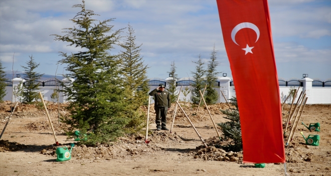 Eskişehir'deki tesiste her yıl 9 milyon fidan üretiliyor
