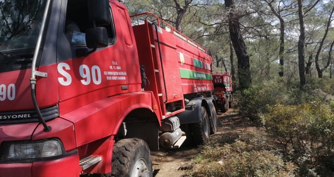 Kaş'ta çıkan orman yangını söndürüldü