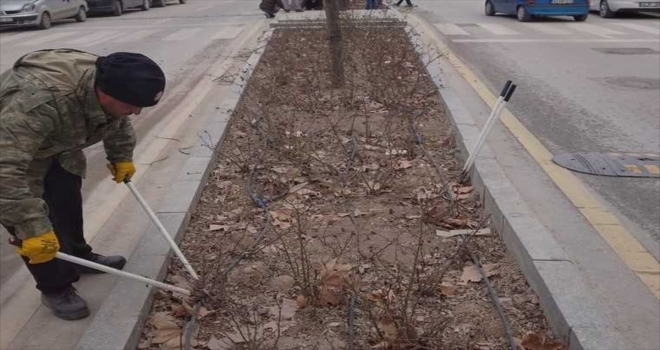 Kırşehir Belediyesi refüj ve parklarda peyzaj çalışması başlattı