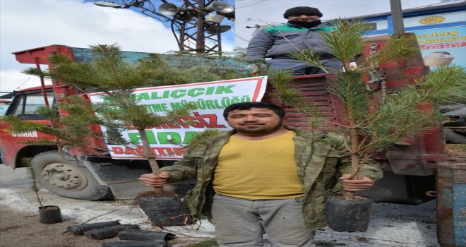 Mihalıççık ilçesinde 3 bin fidan dağıtıldı