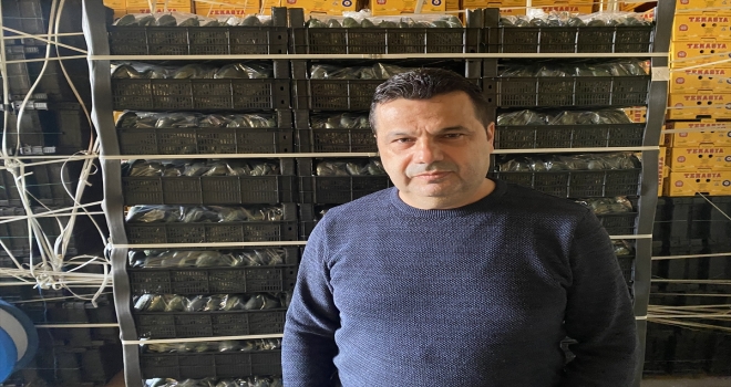 Ukrayna'da mahsur kalan tırlardaki sebzeleri savaş mağdurlarına dağıttırdı